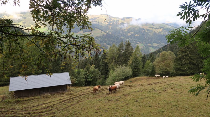 Dent de Valère, randonnée d'été en dessus de Vald'Illiez